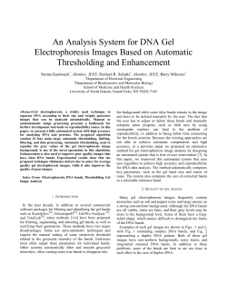 An Analysis System for DNA Gel Electrophoresis Images Based on