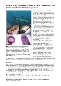 Cleaners remove ectoparasitc Digeneans (Phylum Platyhelminthes