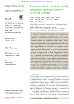 A conserved genetic mechanism specifies