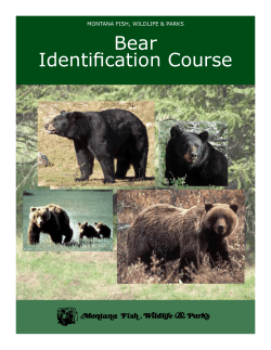 Bear Identification Course