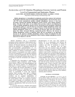 Escherichia coli C29 Alkaline Phosphatase Enzyme Activity and