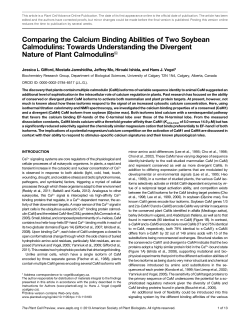 Comparing the Calcium Binding Abilities of Two