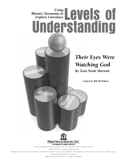Their Eyes Were Watching God - Levels of