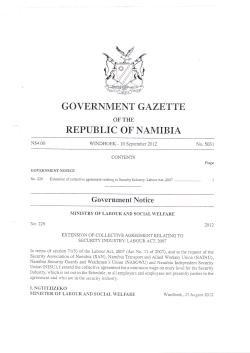 Minimum wage Security Sector