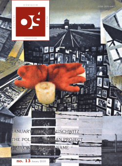 january 1945 at auschwitz the polish &ndash; german project hallowed by