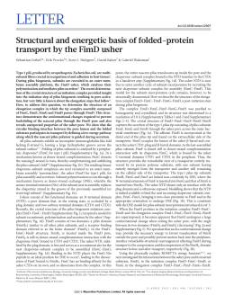 Structural and energetic basis of folded