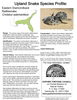 Upland Snake Species Profile: