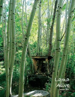2015 Newsletter - Lama Foundation