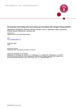 University of Copenhagen