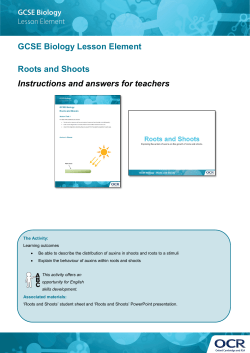 Roots and shoots activity - Teacher instructions