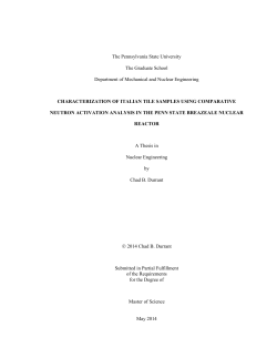 Characterization of Italian tile samples using comparative neutron