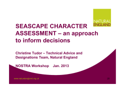 SEASCAPE CHARACTER ASSESSMENT