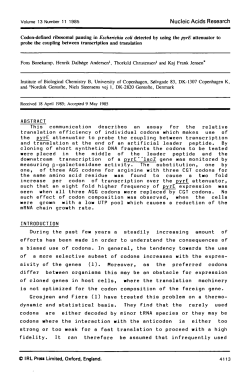 Codon-defined ribosomal pausing in Escherichia coli detected by