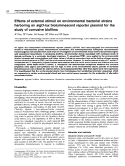Effects of external stimuli on environmental bacterial strains