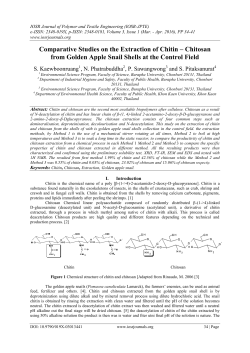 Comparative Studies on the Extraction of Chitin &ndash; Chitosan from