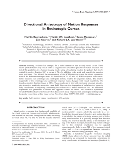 Directional anisotropy of motion responses in retinotopic cortex