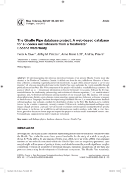 The Giraffe Pipe database project: A web