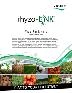Plot Results