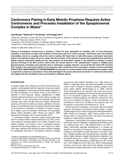 Centromere Pairing in Early Meiotic Prophase