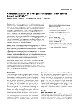 Characterization of an `orthogonal` suppressor tRNA derived from E