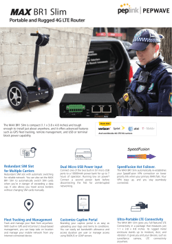 BR1 Slim - Peplink