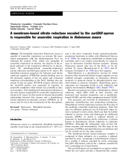 A membrane-bound nitrate reductase encoded by the narGHJI
