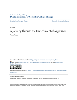 A Journey Through the Embodiment of Aggression