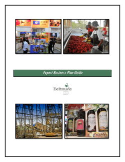 Export Business Plan Guide