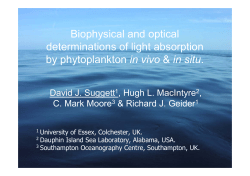 Biophysical and optical determinations of light absorption by