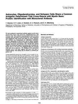 Astrocytes, Oligodendrocytes, and Schwann Cells Share