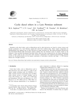 Cyclic diaryl ethers in a Late Permian sediment