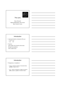 The Lens Introduction Introduction - SOG-SSO