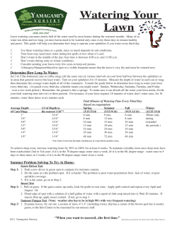 Lawn Watering - Yamagami`s Nursery