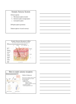 Somatic Sensory System How to study sensory receptors