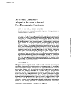 Biochemical Correlates of Adaptation Processes in Isolated Frog