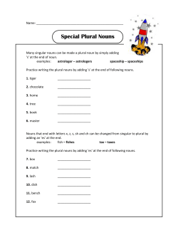 Special Plural Nouns - easypacelearning.com