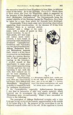 461 the successive transition from Flagellates to true Algae, in