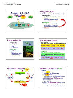 Ch10--Photosynthesis