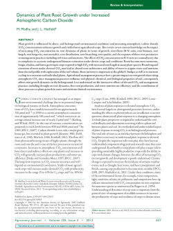 Dynamics of Plant Root Growth under Increased Atmospheric