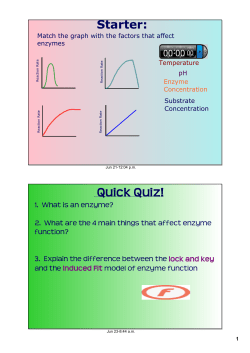 Enzyme - WordPress.com