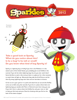Do you know what kind of bug Spar