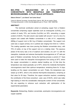 bio_fp08 - bioleaching of a chalcopyrite concentrate with mesophile