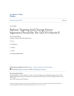 Biphasic Targeting And Cleavage Furrow Ingression