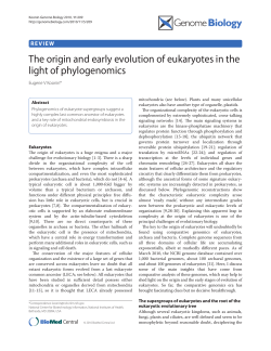 The origin and early evolution of eukaryotes in the