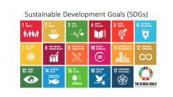 Sustainable Development Goals (SDGs)
