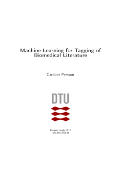 as a PDF