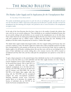 The Shadow Labor Supply and Its Implications for the