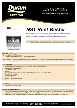 NS1 Rust Buster