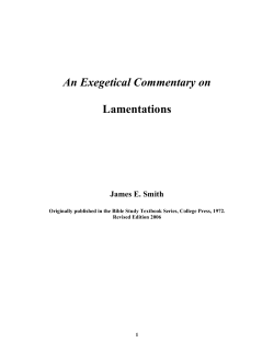 An Exegetical Commentary on Lamentations