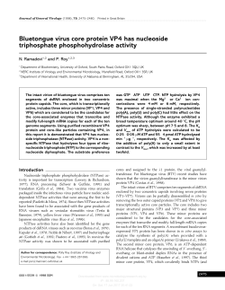 Bluetongue virus core protein VP4 has nucleoside triphosphate